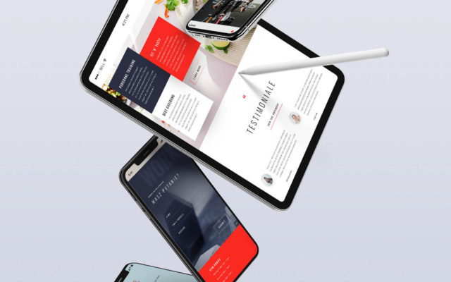 Website showcase design